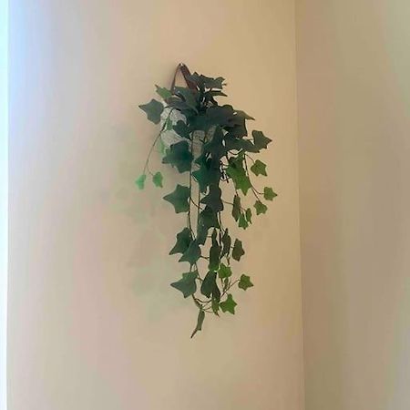 Appartement Noe Centre Ville Toulon Ngoại thất bức ảnh