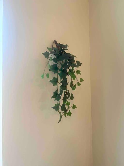 Appartement Noe Centre Ville Toulon Ngoại thất bức ảnh